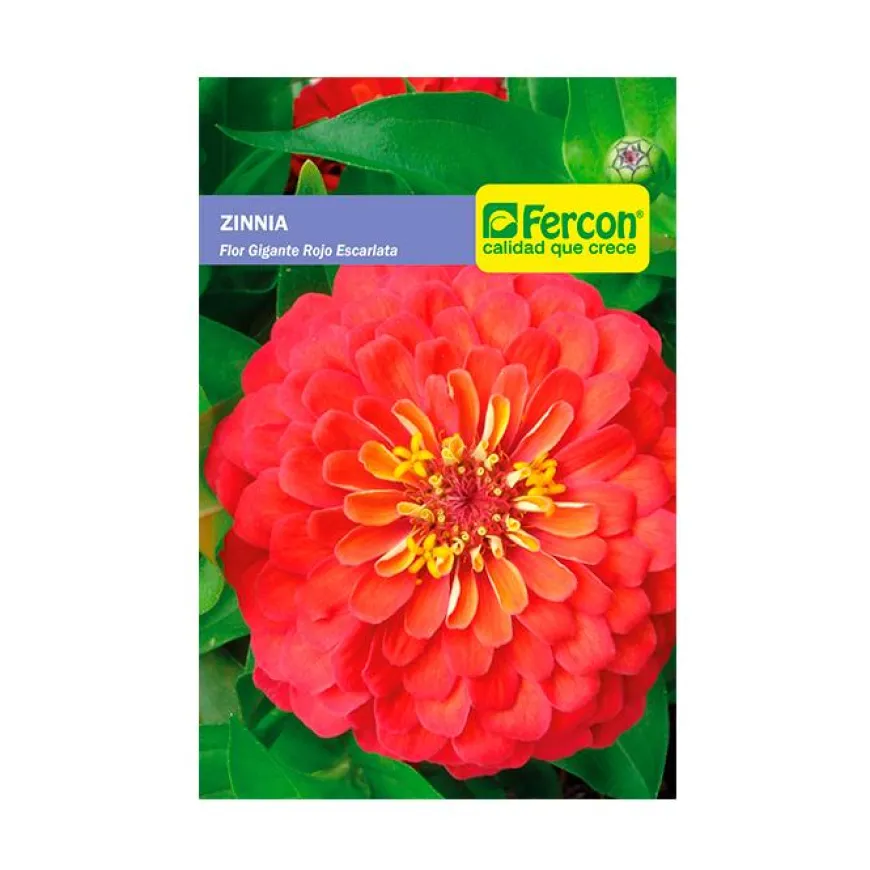 Zinnia Flor Gigante Rojo Escarlata 0.5 gr | Semillas Jardín | Tierragro Colombia